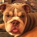Profile Picture of Wayne Helm (@wayne.helm.56) on Facebook