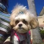 Profile Picture of Debbie Jack (@debbieujam) on Instagram