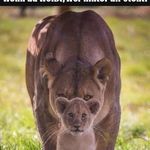 Profile Picture of Andrea Schranz-Bhend (@rehle84) on Instagram