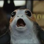 Profile Picture of Mark Felten (@mark.felten) on Instagram