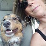 Profile Picture of Tracy Drake Brooking (@tracydrakebrooking) on Instagram