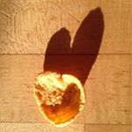 Profile Picture of Sean Pollock (@seanpollockman) on Instagram