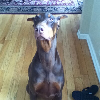 Profile Picture of Bobby Grimes (@BoBiS550) on Twitter