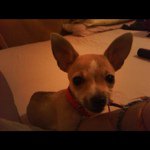 Profile Picture of Tracy Starkey (@jesusfreak987654321) on Instagram