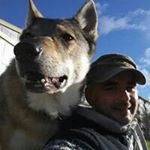 Profile Picture of Richard Rauber (@richard_rauber) on Instagram