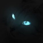 Profile Picture of Marko Ivezaj (@markoivezaj) on Instagram