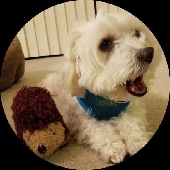 Profile Picture of Michael Shih (@mikkoshih) on Poshmark