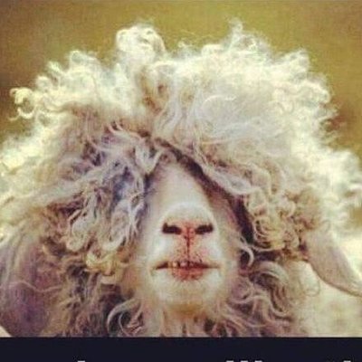 Profile Picture of Jessie Hylton (@JessieHylton3) on Twitter