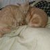 Profile Picture of Paula Cavanaugh (@paula.cavanaugh.568) on Facebook
