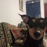 Carlos Cañon - Instagram Profile Picture of Carlos Cañon (@carlos.canon) on Instagram