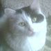 Profile Picture of Jodi Steger (@jodi.steger.33) on Facebook