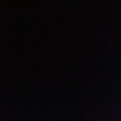 Profile Picture of Nadie (@alexia_andrew) on Twitter