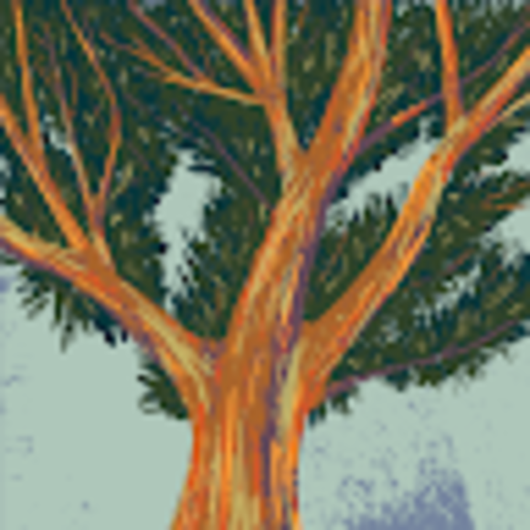 Profile Picture of Ian Kelly (@iankelly411) on Poshmark