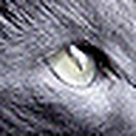 Profile Picture of Mark&andrea (@mark&andrea) on Flickr