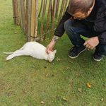 Stuart Paul Burton - Instagram Profile Picture of Stuart Paul Burton (@stuart_08900) on Instagram