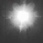 Profile Picture of Damian.Gutierrez (@damian.gutierrez2005) on Instagram