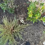 Profile Picture of Benjamin Keeler (@Benjamin-Keeler) on Facebook