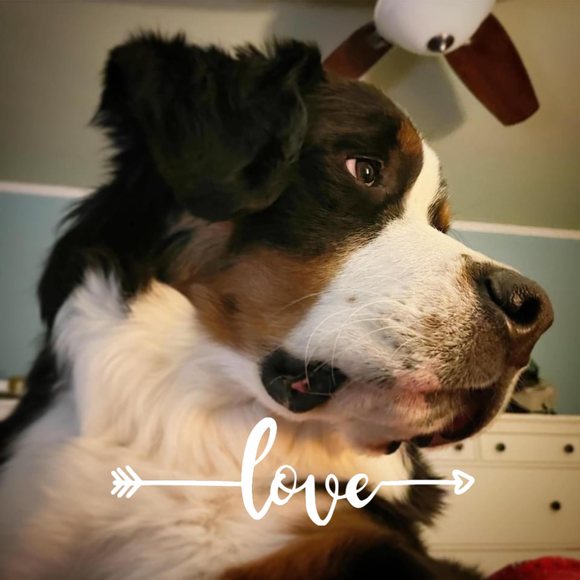 Profile Picture of Kendra Boeckmann (@kendybo) on Poshmark