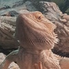 Profile Picture of Liam bland (@@karenbland) on Tiktok