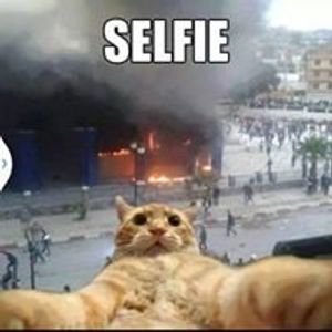 Profile Picture of Helen Barnes (@helen.allaboutme) on Myspace