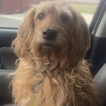 Profile Picture of Charles Waitkus (@charleswaitkus) on Instagram