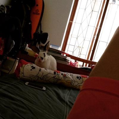 Profile Picture of Brendan Sharp (@@BrenzSharp) on Twitter