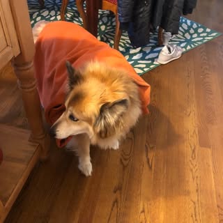 Profile Picture of Peter Gilligan Jr. (@gilligan_peter) on Instagram