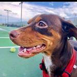 Profile Picture of Gus C. Gage (@guschristophergage) on Instagram