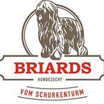 Briards vom Schurkenturm - Instagram Profile Picture of Briards vom Schurkenturm (@briards.schurkenturm) on Instagram