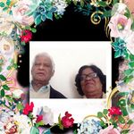 Profile Picture of Josepha Demello (@josephademello) on Instagram