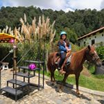 Profile Picture of César Augusto Sandoval (@sandoval_cesaraugusto) on Instagram