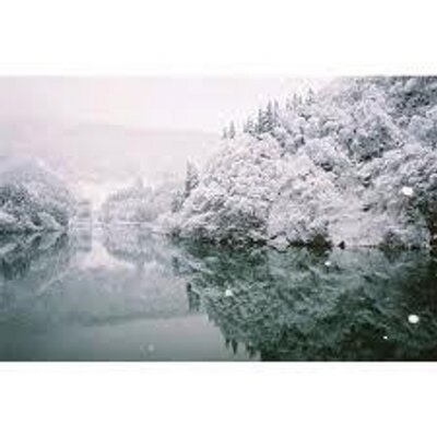 Elena John - Twitter Profile Picture of Elena John (@ElenaJohn4) on Twitter