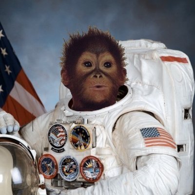 Profile Picture of Charles Duran (@mtjnkee) on Twitter