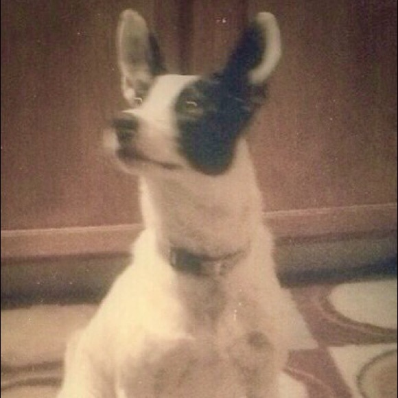 Profile Picture of Lorraine Hoey (@msloco) on Poshmark