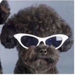 secret agent randy beans - Instagram Profile Picture of secret agent randy beans (@that70sshmuck) on Instagram