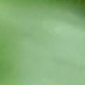 Profile Picture of Kevin Witkowski (@kevinwitkowski7892) on Youtube
