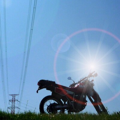 Profile Picture of Tom.Tamura (@mori_chan31) on Twitter