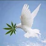 Profile Picture of Kendra Silvera (@silverakendra) on Instagram