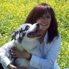 Profile Picture of Kathy Amidon (@TPFA_KathyA_1) on Twitter
