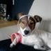 Profile Picture of Dee Stringer (@dee.stringer.18) on Facebook