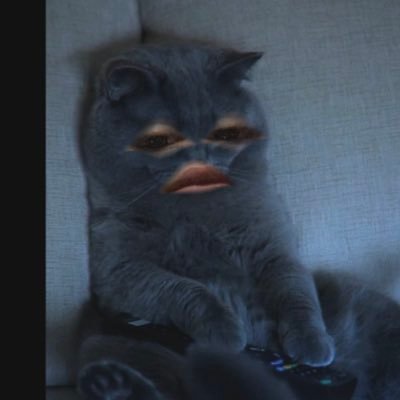 Profile Picture of Shortcircuit27 (@zacharyvalente1) on Twitter