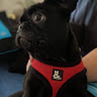 Profile Picture of Cooper Gordon (@cooper-gordon-12) on Quora