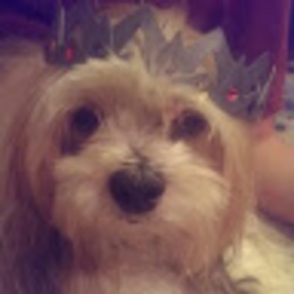 Profile Picture of Helen Kruse (@helenkruse) on Poshmark