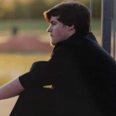 Profile Picture of Caleb Campbell (@LavaLeech_HD) on Twitter