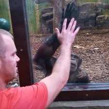 Profile Picture of Ben Bowman (@BowmanKingman) on Twitter