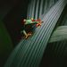 Profile Picture of Peter Kehoe (@Peterinho) on Pinterest