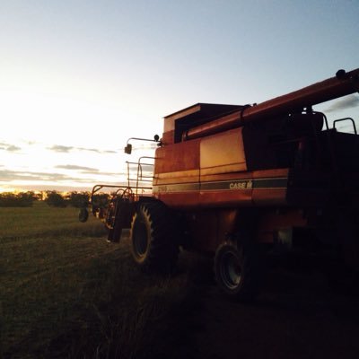 Profile Picture of Pat Cusack (@patcuse) on Twitter