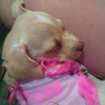 Profile Picture of autumn hinkley (@autumnhinkley2004) on Instagram