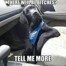 Profile Picture of Cody Tarver (@ctmustang7656) on Twitter