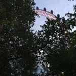 Profile Picture of Grant James Paton (@patongrantjames) on Instagram